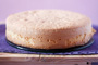 Pan di Spagna Italian Sponge Cake Photo